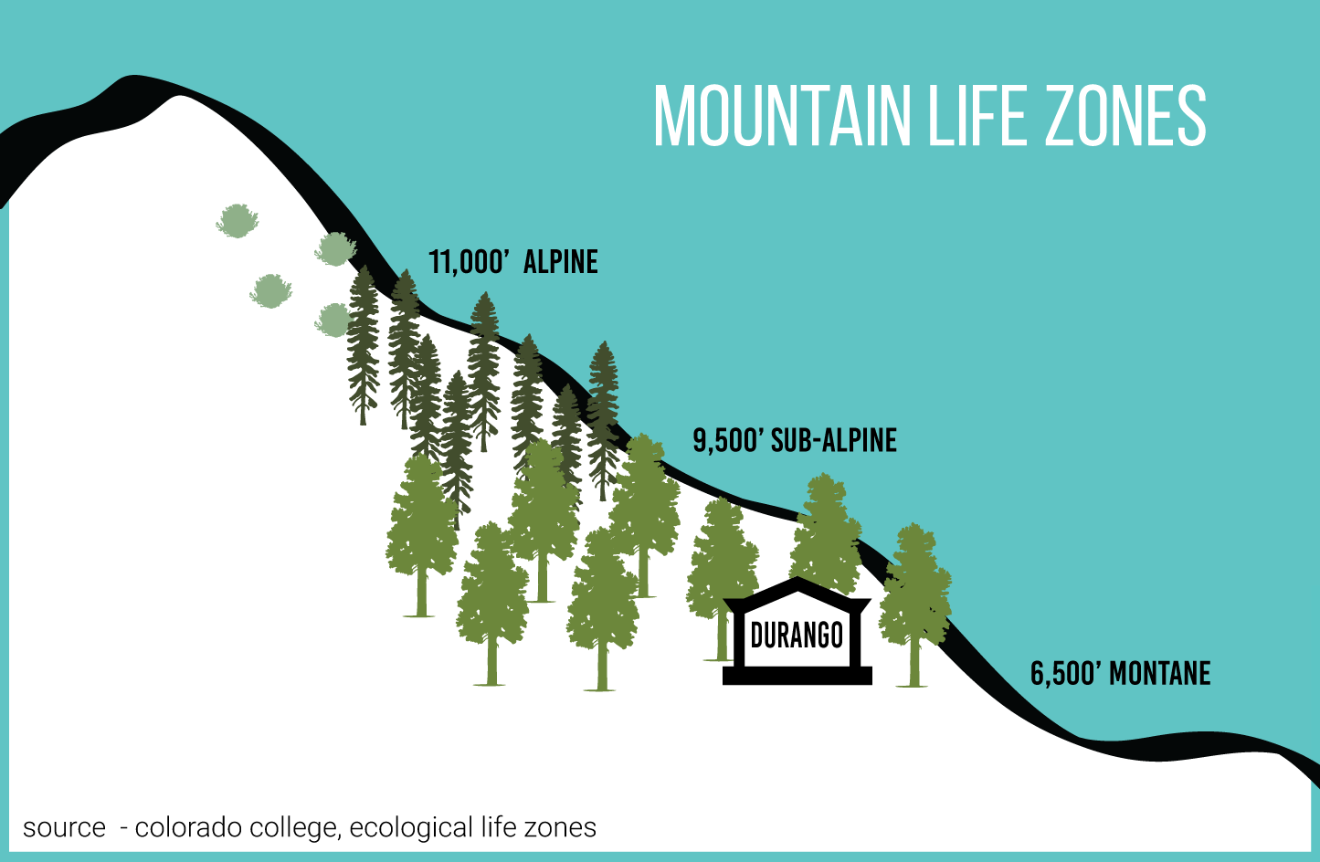 mountain-life-zones-graphic